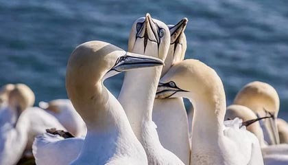 曲靖高价上海医保提取2025的最新政策(2025年曲靖上海医保怎么提取现金分享)