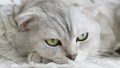 曲靖高价上海医保提取2025的最新政策(2025年曲靖上海医保怎么提取现金分享)